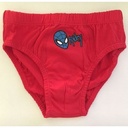 6 Pack of Boys' Cotton Underwear Panties - Multi-color