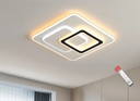 Minimalist Dimmable Acrylic Art Mount Decorative Fancy House Lighting Modern Restaurant LED Ceiling Lights